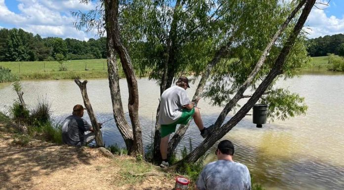 ‘Truth in Nature is tight lines, steady aim and a cleansed heart’