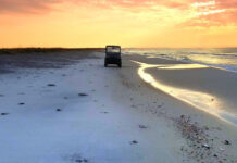 In Alabama, conservation Is for the birds