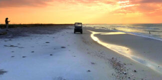 In Alabama, conservation Is for the birds