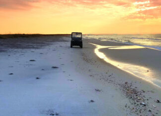 In Alabama, conservation Is for the birds