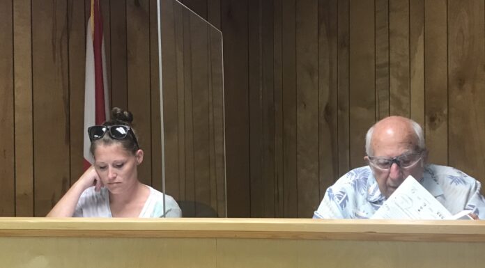 South Vinemont Town Council discusses potential community projects, approves 2021-22 Transportation Plan