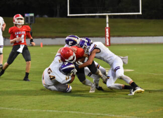 PREP FOOTBALL: Fairview pulls away from Vinemont 56-28