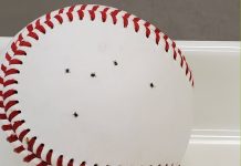 Tips and tricks to avoid picking up ticks