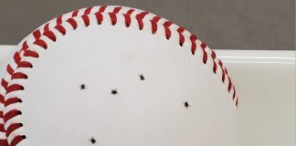 Tips and tricks to avoid picking up ticks