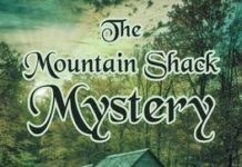 Local author releases new mystery novel