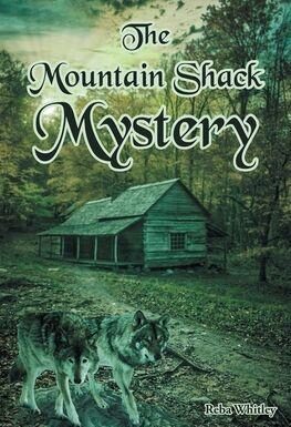 Local author releases new mystery novel