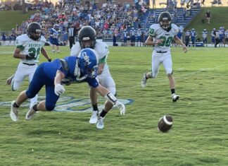PREP FOOTBALL: Holly Pond handles Cold Springs on the road 31-0
