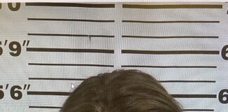 Cullman man arrested on theft charges