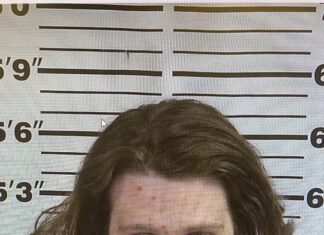 Cullman man arrested on theft charges