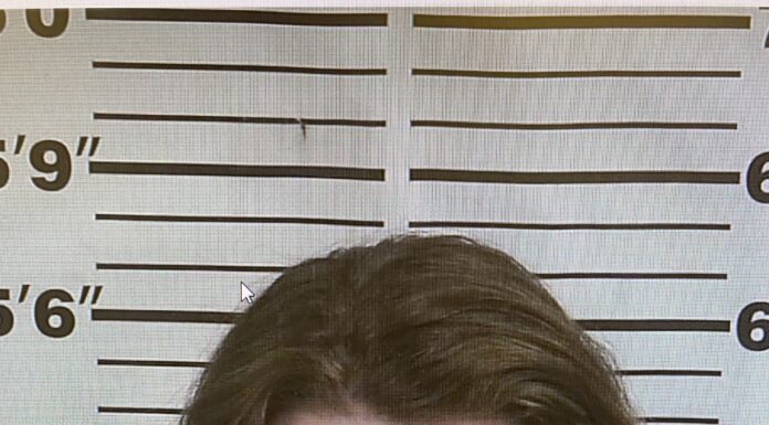 Cullman man arrested on theft charges