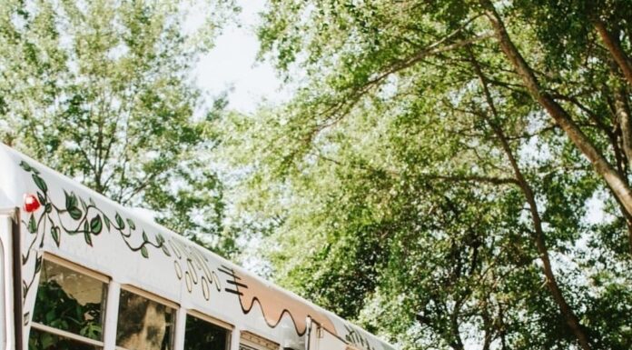 House Plant Collective announces Cullman pop-up