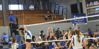 PREP VOLLEYBALL: Addison sweeps Cold Springs in area match