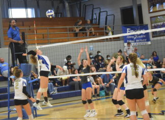 PREP VOLLEYBALL: Addison sweeps Cold Springs in area match