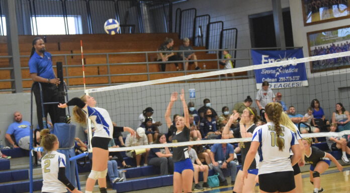 PREP VOLLEYBALL: Addison sweeps Cold Springs in area match