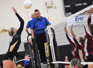 PREP VOLLEYBALL: Cullman sweeps tri-match with Haleyville, Hatton