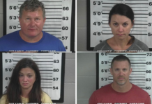 Four Cullman residents arrested for public intoxication