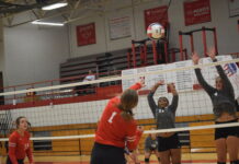 PREP VOLLEYBALL: Vinemont sweeps area match against East Lawrence