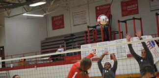 PREP VOLLEYBALL: Vinemont sweeps area match against East Lawrence