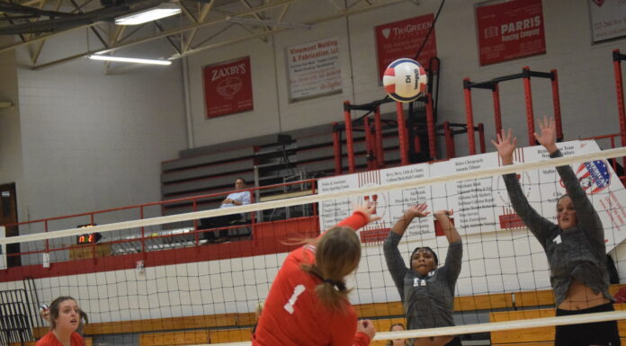 PREP VOLLEYBALL: Vinemont sweeps area match against East Lawrence