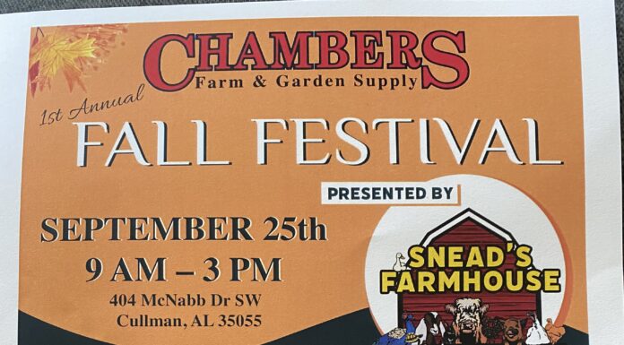 Chambers Fall Festival to take place this weekend