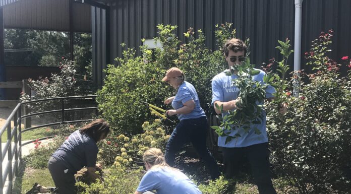 Community volunteers out in force for United Way of Cullman County’s ‘Day of Caring’