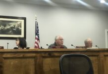 Baileyton Town Council decide to change Baileyton Bargain Days to monthly event; renovations being made to town park