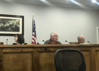 Baileyton Town Council decide to change Baileyton Bargain Days to monthly event; renovations being made to town park