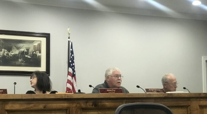 Baileyton Town Council decide to change Baileyton Bargain Days to monthly event; renovations being made to town park