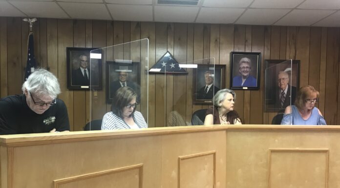 South Vinemont Town Council appoints Sonya Copeland to oversee Town finances