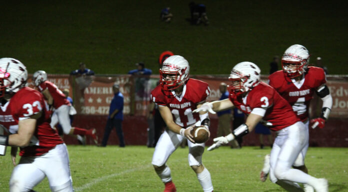 PREP FOOTBALL: Good Hope holds off Addison 13-8