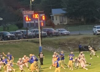 PREP FOOTBALL: Addison edges Aliceville 19-18 in region opener