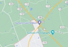 Baileyton man killed in car crash