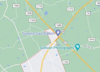 Baileyton man killed in car crash