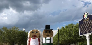 The people behind the Hay People