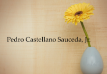 Obituary: Pedro Castellano Sauceda, Jr.