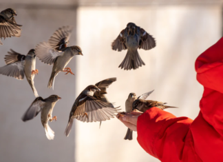 Guest Editorial – The Valued Man: Without Condition