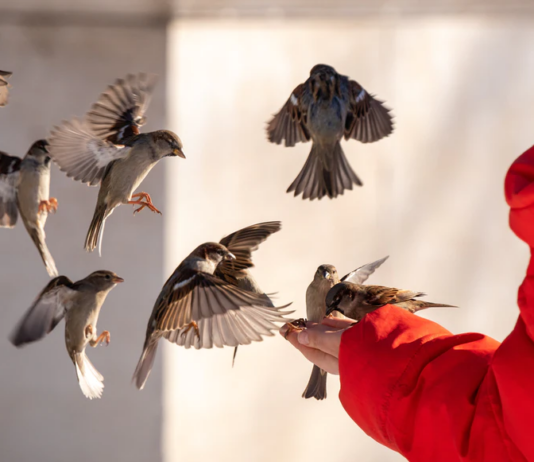 Guest Editorial – The Valued Man: Without Condition