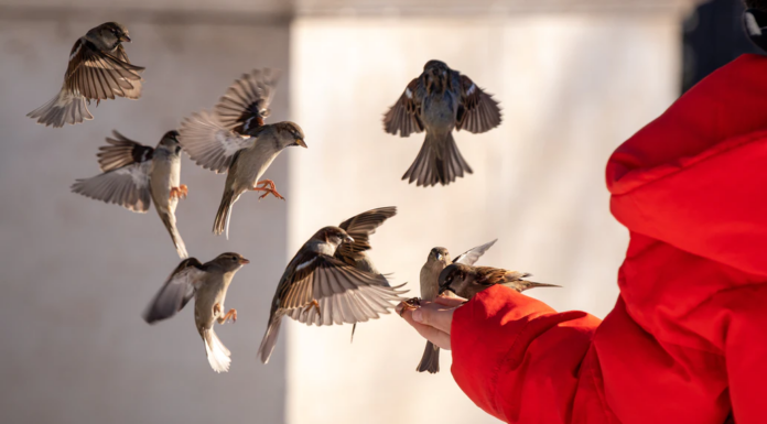 Guest Editorial – The Valued Man: Without Condition