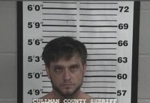 Hanceville man arrested on sex charges