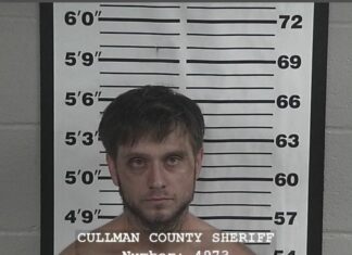 Hanceville man arrested on sex charges