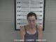 Cullman woman arrested on multiple drug charges