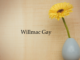 Obituary: Willmac Gay