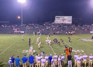 PREP FOOTBALL: Addison drops region tilt at Lamar County 23-14