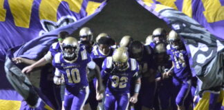 PREP FOOTBALL: Hanceville drops road game at Section 24-14
