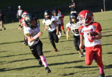 Cullman County Youth Football Week 9 scoring recap