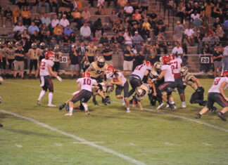 PREP FOOTBALL: Vinemont falls at Winfield 41-8