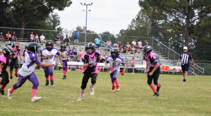 Cullman County Youth Football week 6 scoring recap