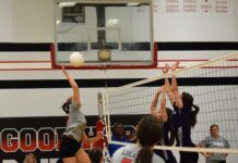 PREP VOLLEYBALL: Good Hope sweeps Fairview in final regular season match