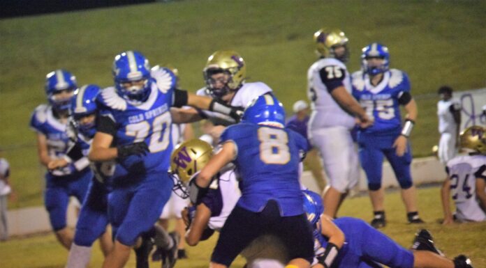 PREP FOOTBALL: Cold Springs falls to Winston County at home 34-7