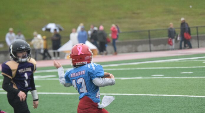 Cullman County Youth Football Semifinals scoring recap